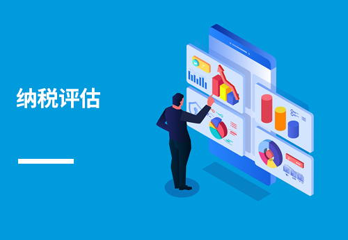 纳税评估