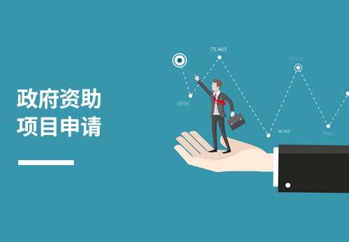 政府资助项目申请