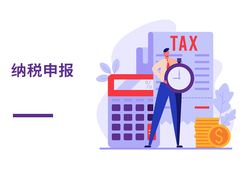 纳税申报