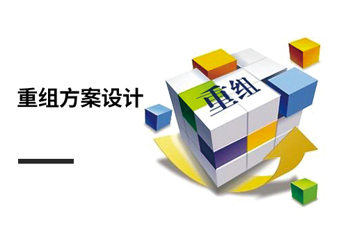 重组方案设计